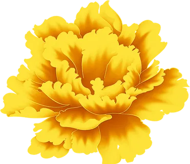 黄色的花花素材免扣