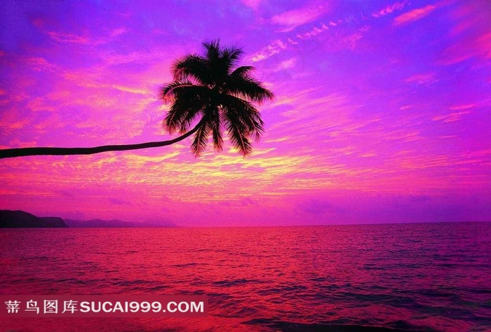 夕阳下的海边风光