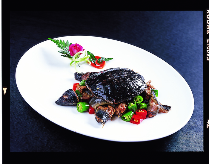 CXC03835青莲烧甲鱼68