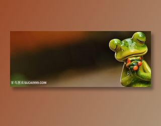 可爱的青蛙模型玩具高清图片