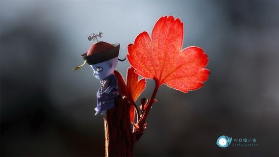 僵小鱼之爱吃鱼的小僵尸