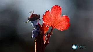 僵小鱼之爱吃鱼的小僵尸