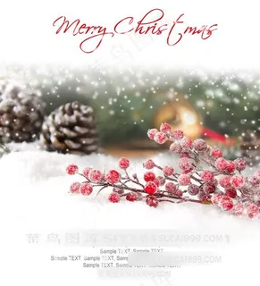 圣诞背景素材