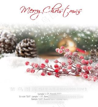 圣诞背景素材