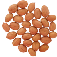 53_peanut_PNG35
