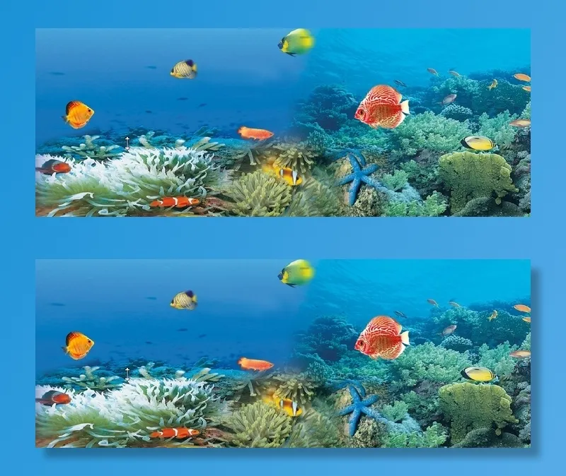 海底世界 鱼  海底风景 海底景观psd模版下载