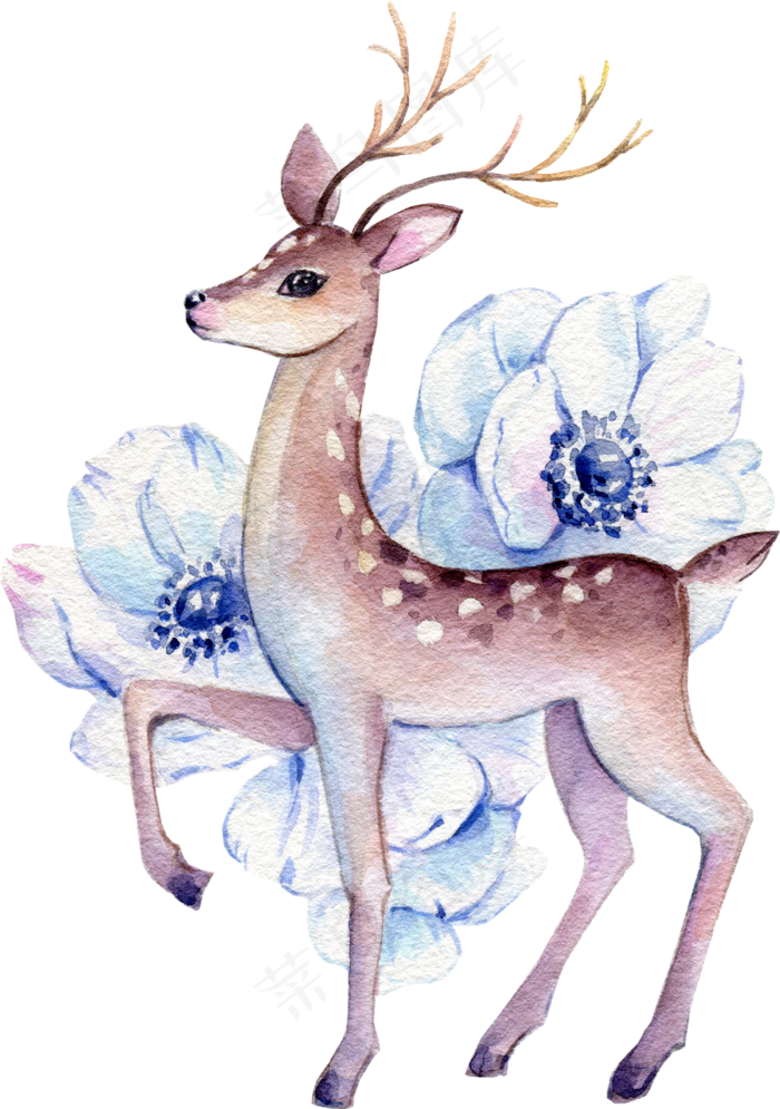 水彩插画-小鹿7