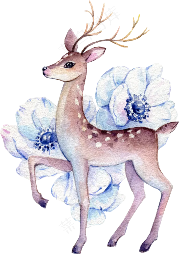 水彩插画-小鹿7