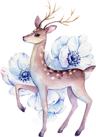水彩插画-小鹿7