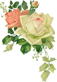 古典花卉png免扣素材