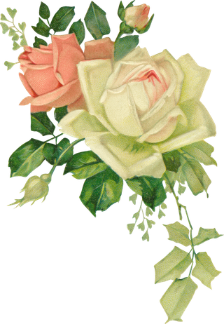 古典花卉png免扣素材