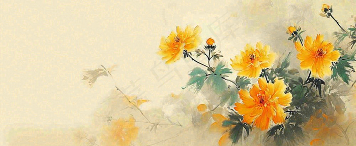 温馨纹理橙色花朵鲜花蝴蝶意境唯美，中国风(1712x704)
