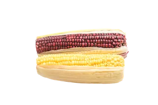 玉米 (31)超市商品白底图免抠实物摄影png格式图片透明底