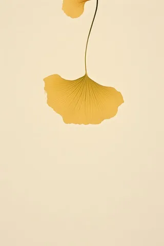 极简复古秋叶背景