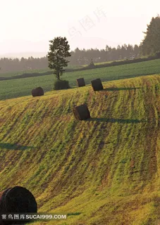 陆地旷野草场草垛