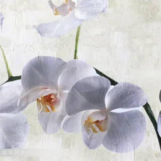花朵装饰画设计素材 花朵装饰画设计素材
