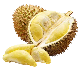 营养丰富的榴莲