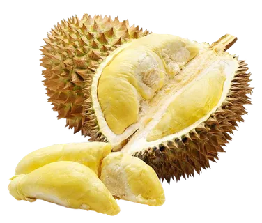 营养丰富的榴莲 营养丰富的榴莲