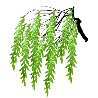 春天绿色春季水墨柳树柳条柳叶春季海报设计PNG免扣素材