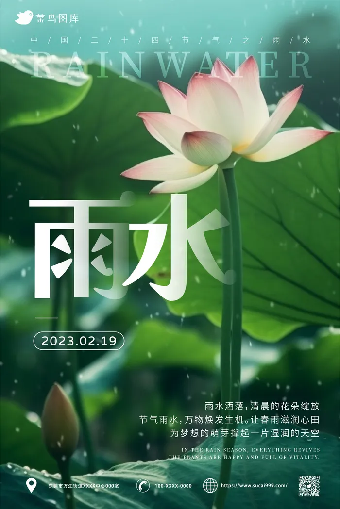 雨天荷花荷叶 小清新风 雨水节气海报ai矢量模版下载