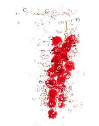 高清水中樱桃图片下载