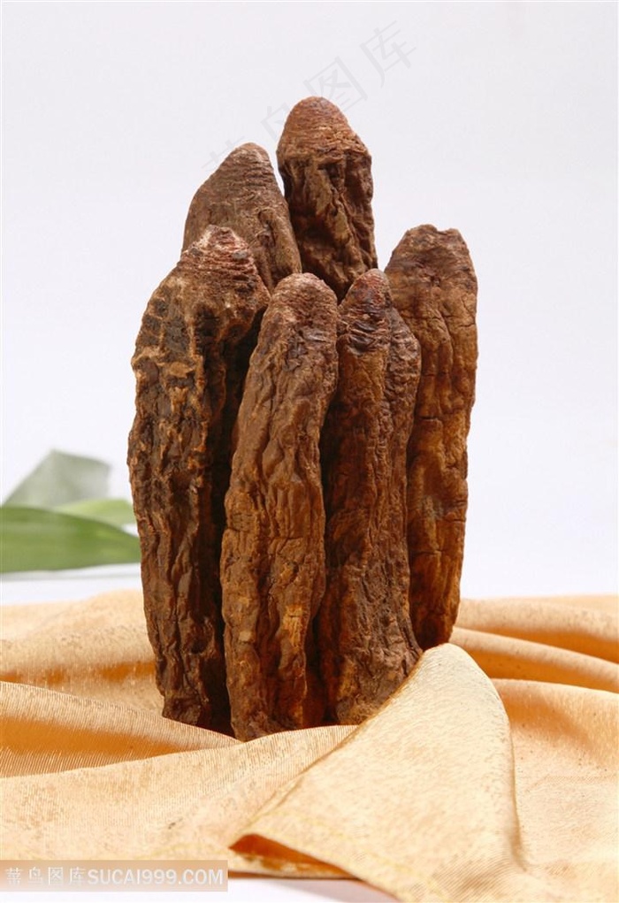 锁阳的美食图片
