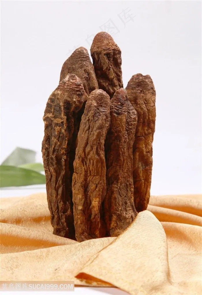 锁阳的美食图片