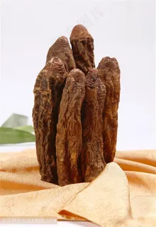 锁阳的美食图片