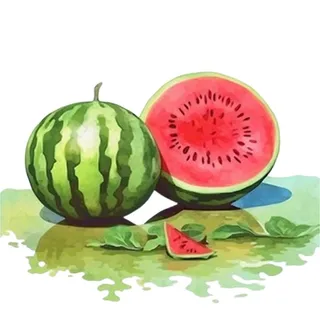 西瓜免抠