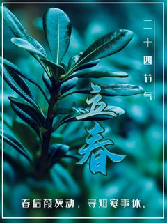 24节气立春春季新春春天海报模板PSD分层设计素材源文件模板