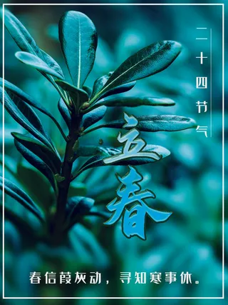 24节气立春春季新春春天海报模板PSD分层设计素材源文件模板