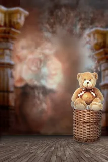 梦幻婴儿绵熊棕色玄关