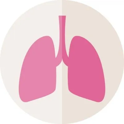 肺 PNG免抠(400x400)