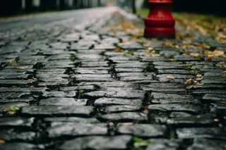 雨过后的石板路苔藓摄影图
