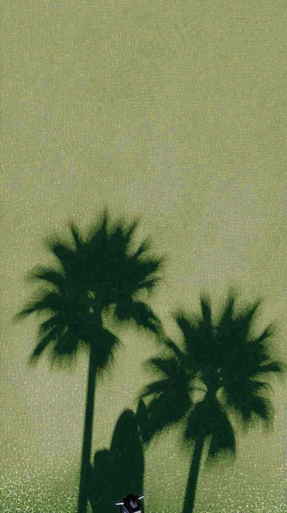 简约绿色叶子影子纹理(816x1456)