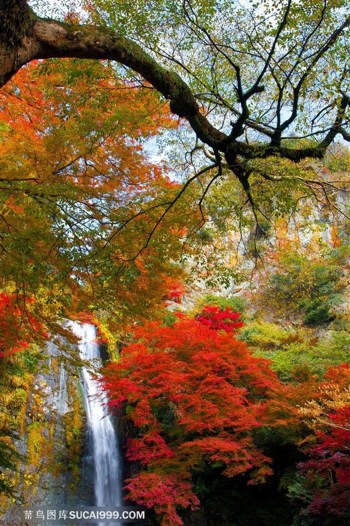红叶山水风景图片下载
