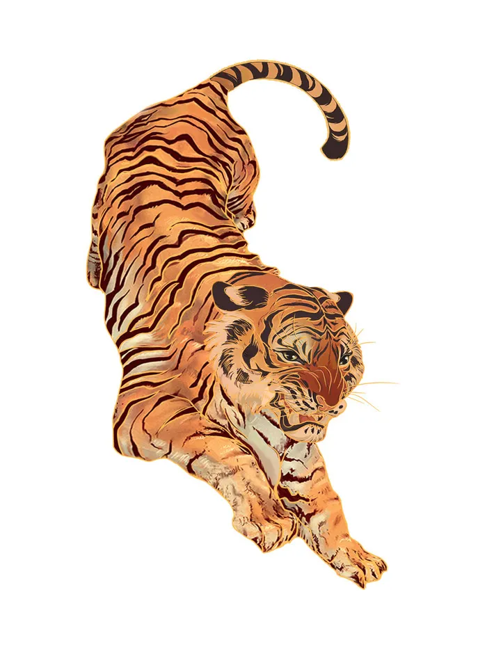 手绘国潮虎年卡通白虎老虎形象插画装饰元素PSD设计素材png免抠图psd模版下载