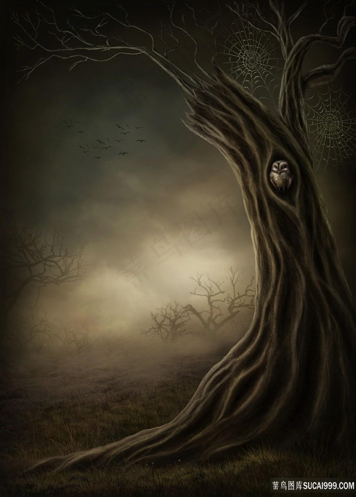 梦幻童话大树世界高清图片