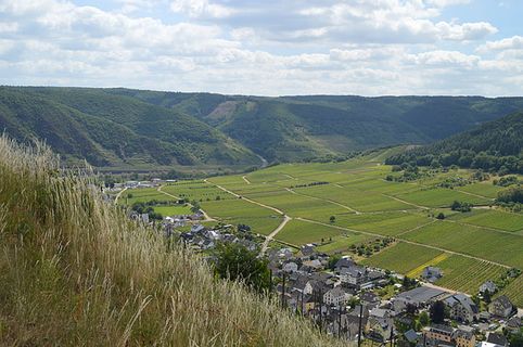 风景 天空 旅行美丽 (192)