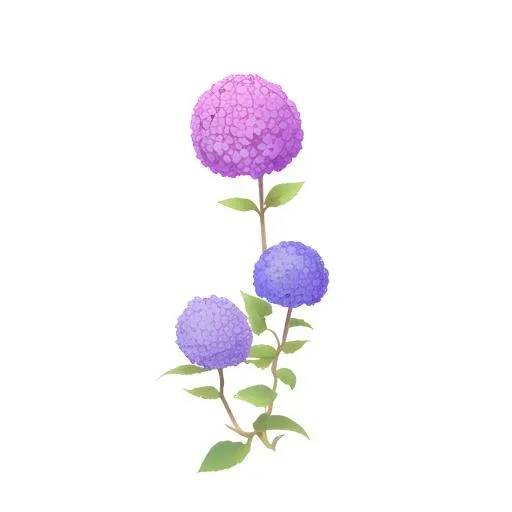 花绣球免抠(2048x2048)