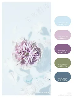 高质量插画配色色卡