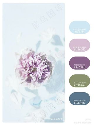 高质量插画配色色卡