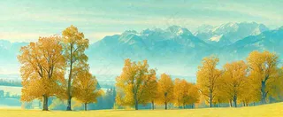 秋天山脉秋叶树木，秋分摄影图