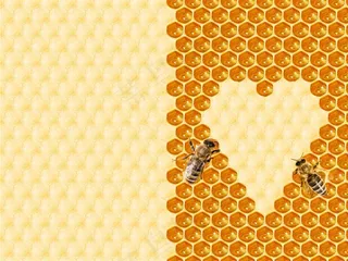 蜜蜂蜂巢背景素材