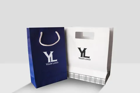 袋子样机 两个立挺纸袋 手提袋 礼品袋 纸质包装袋 品牌购物袋