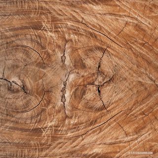 高清木头纹理材质贴图素材