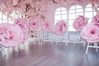 现代摄影结婚空间花卉粉色背景