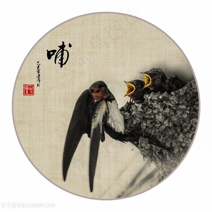燕子哺育幼燕