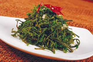 0911LCS-749炝拌云龙菜