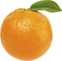 47_orange_PNG789